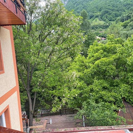 Casa Princess Baile Herculane Bagian luar foto